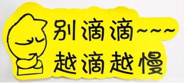 實習車上路 真的可怕嗎？解析馬路上的“隱形警報”與汽車陪駕服務